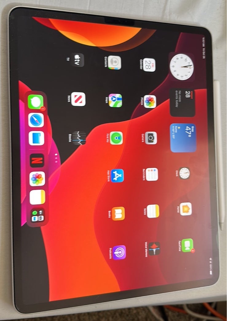 Apple iPad Pro 4th Generation 512GB in Silver