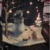Lighted Tapestry