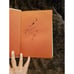 5 Danbury Press 5 TOM SAWYER, GULLIVERS TRAVELS, TREASURE ISLAND~