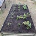 8x4x1FT Raised Garden Bed, Large Metal Planter Box