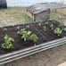 8x4x1FT Raised Garden Bed, Large Metal Planter Box