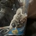 Halo action figure collection action figures