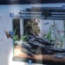 Hermit Crab Tank and accessories