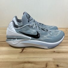 NEW Nike Air Zoom G.T. TB Cut 2 Basketball sneakers Mens 15 wolf Grey dx6650-003