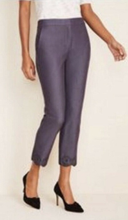 NWT Ann Taylor The Ankle Pant Embroidered Hem Naval Night Wash Size 2