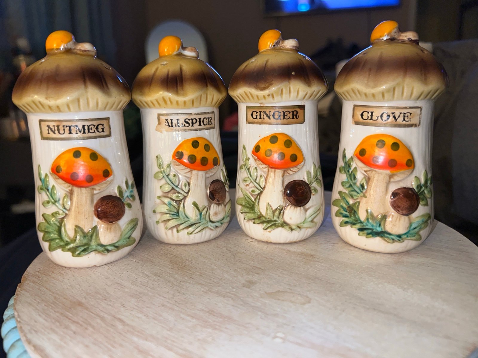 VINTAGE MERRY MUSHROOM SPICE SHAKER JARS//CLOVE//GINGER//ALLSPICE//NUTMEG
