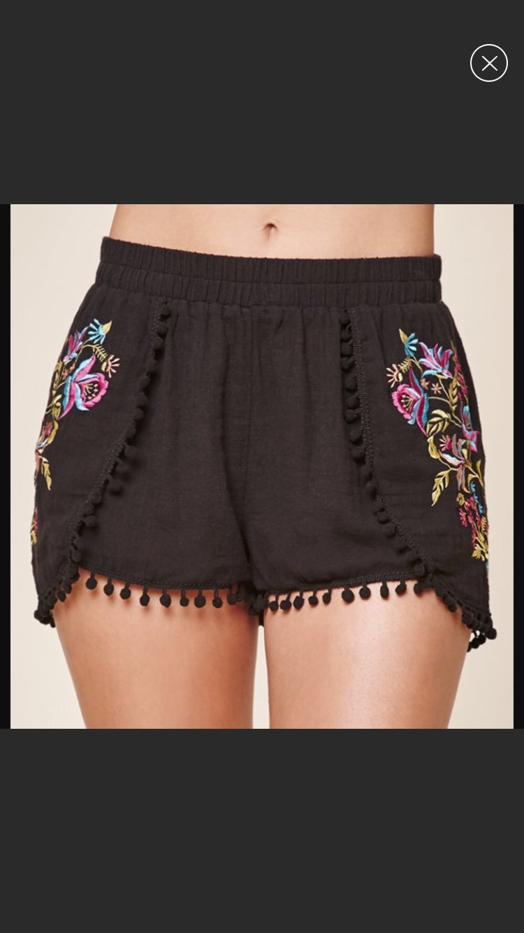 PacSun Embroidered Shorts