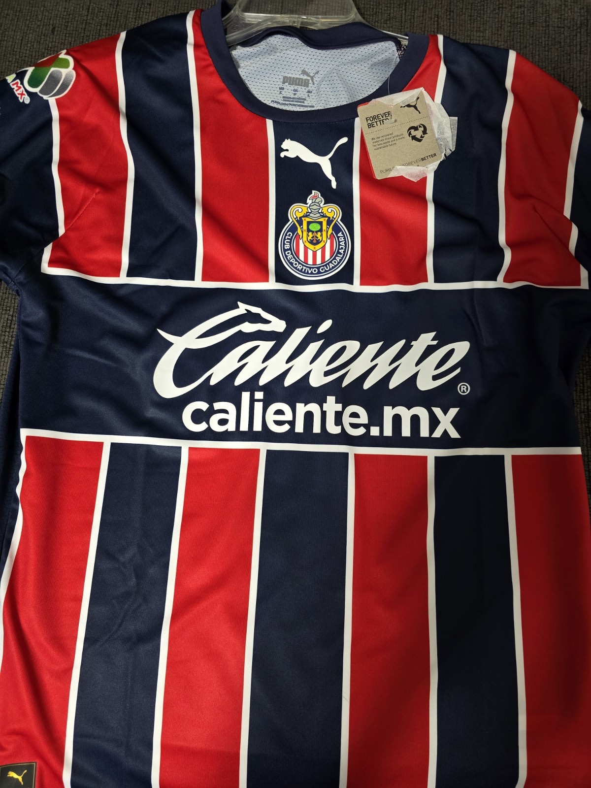 Liga Mx C.D. Guadalajara Chivas 2022/2023 Puma Third Jersey Men's Large NWT