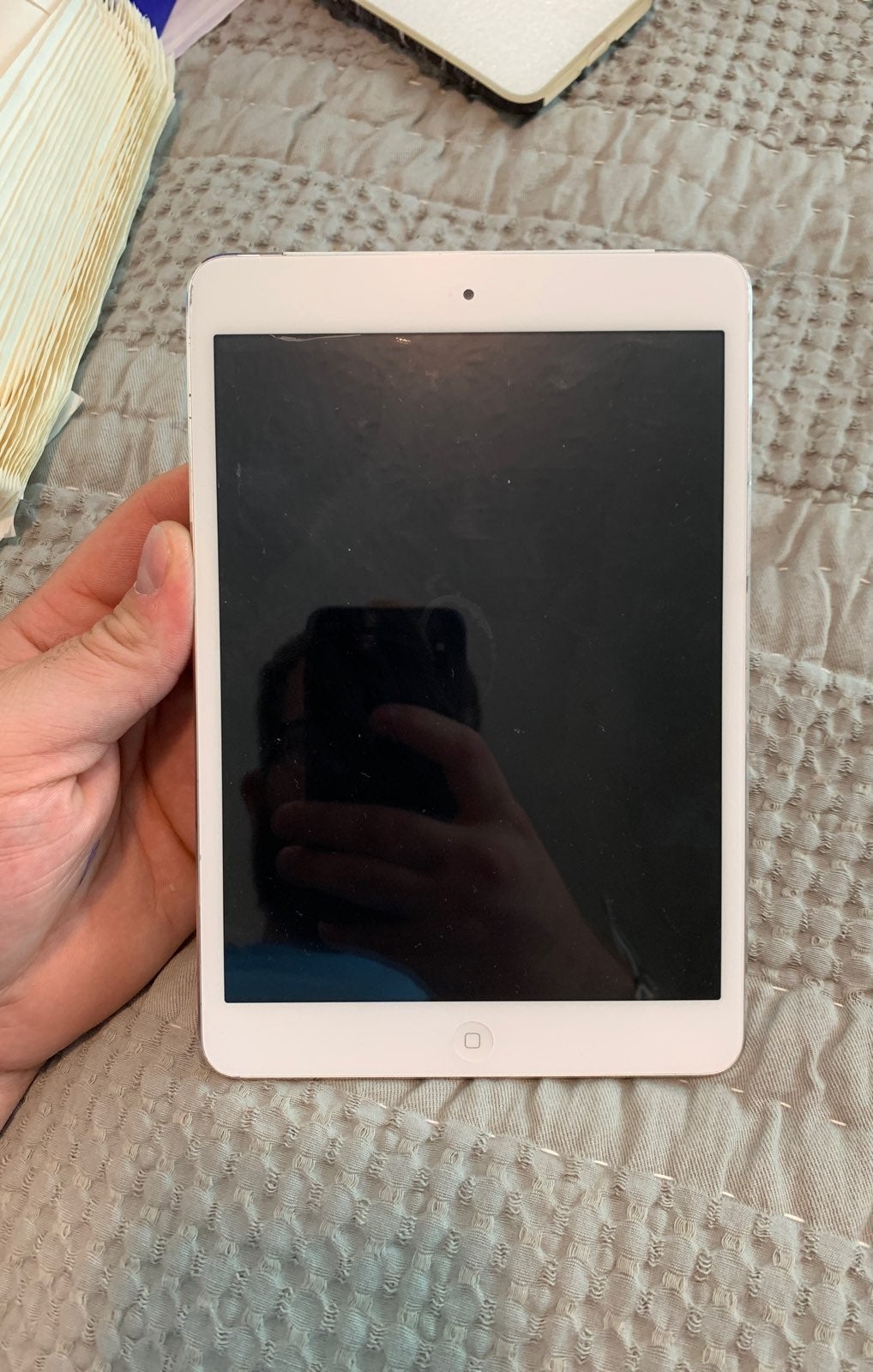 iPad Mini Water Damage. Non Working
