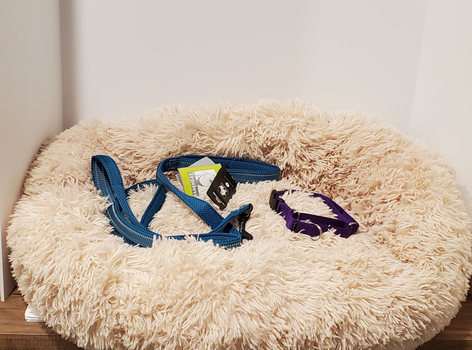 Dog Bed and Leash Lot of 3