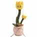 Dancingcactus Dancing Cactus Cross-Border