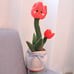 Dancingcactus Dancing Cactus Cross-Border