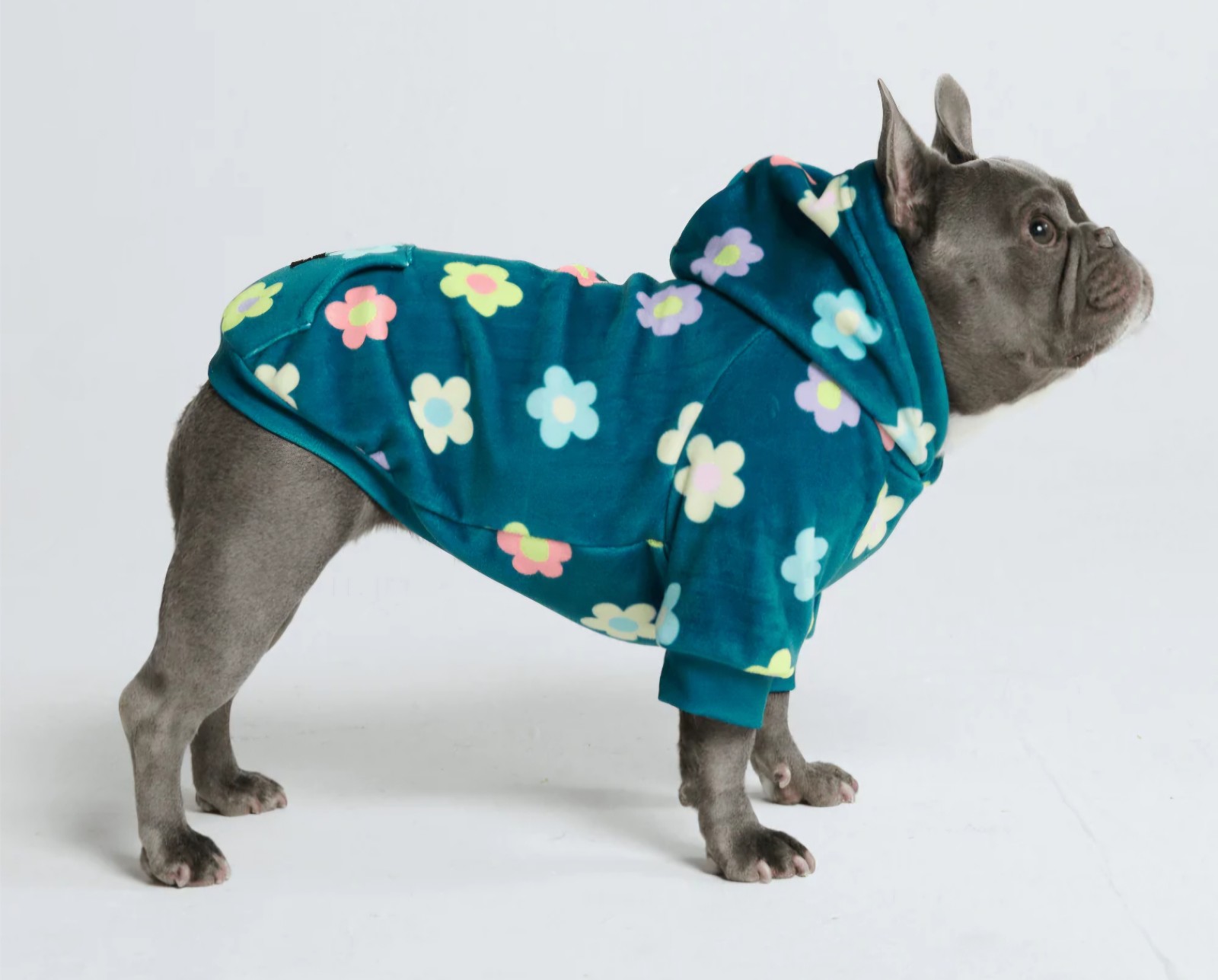 Spark Paws Daisy Green Hoodie, Size 4XL, NWT