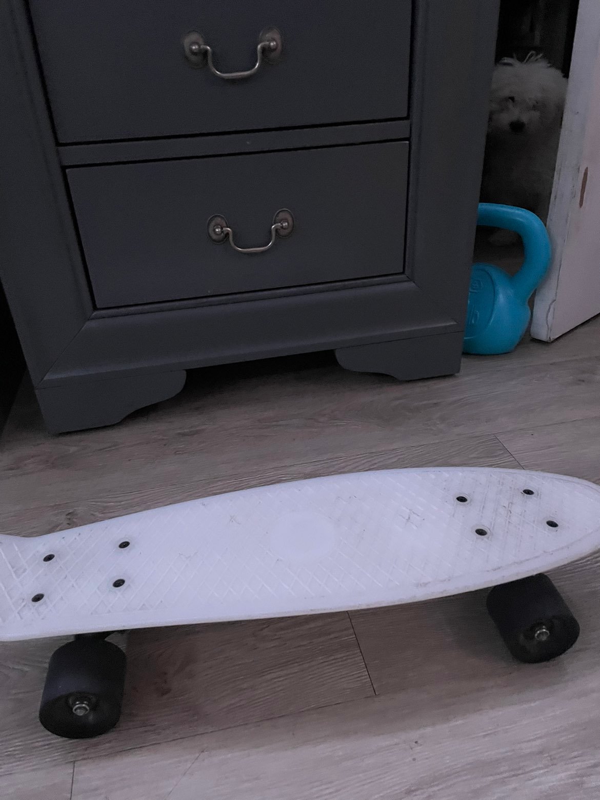 Glow in the Dark Penny Board