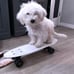Glow in the Dark Penny Board