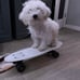 Glow in the Dark Penny Board