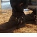 AS98 BOOTS