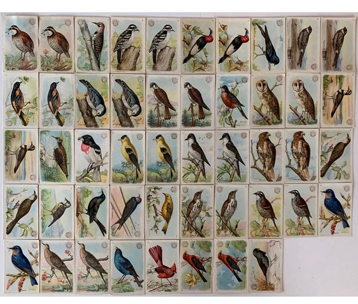 Vintage 1915s Trading Cards