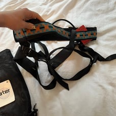 Climbing Harness