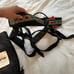 Climbing Harness