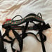 Climbing Harness
