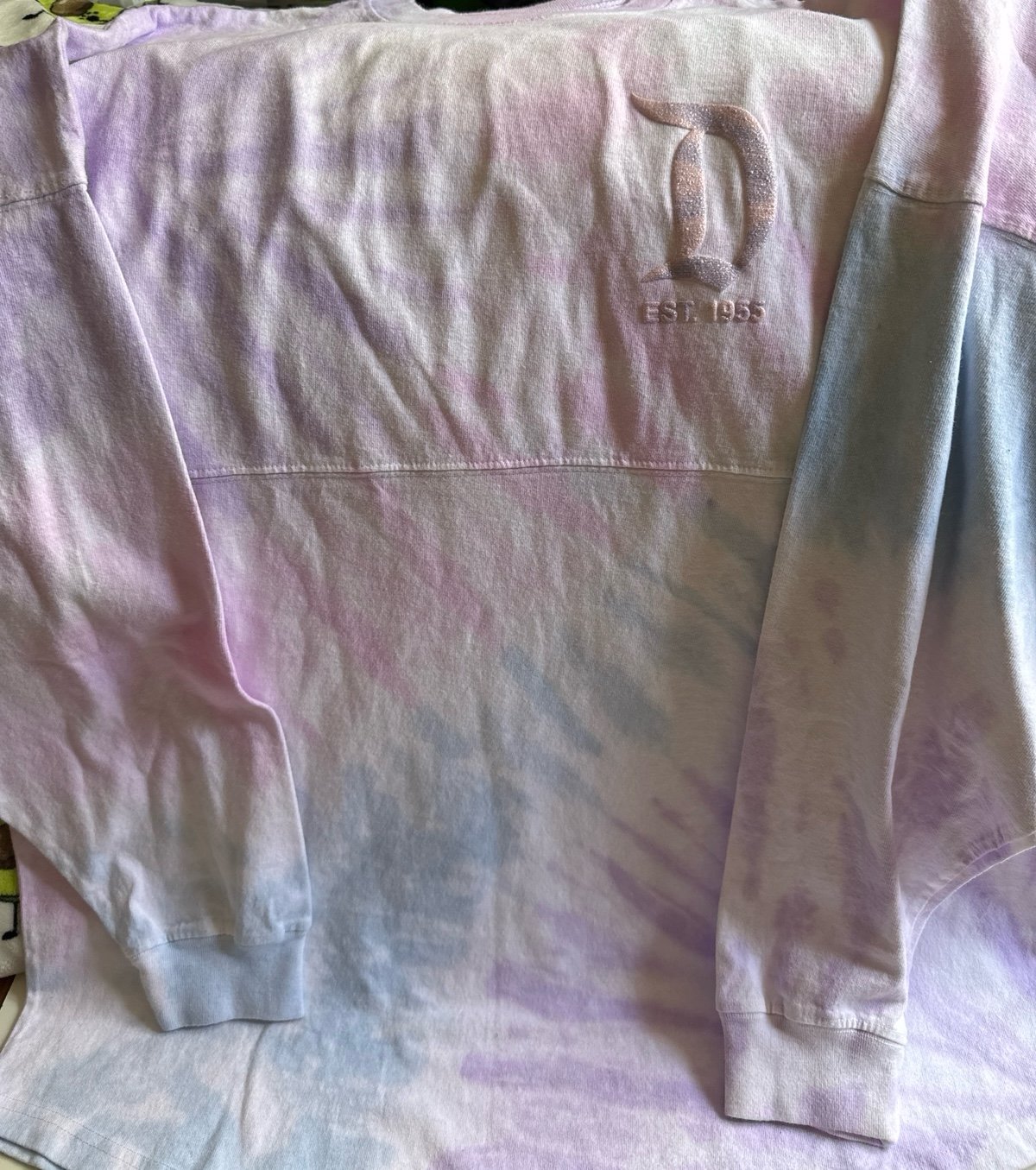 Brand new Disneyland jersey