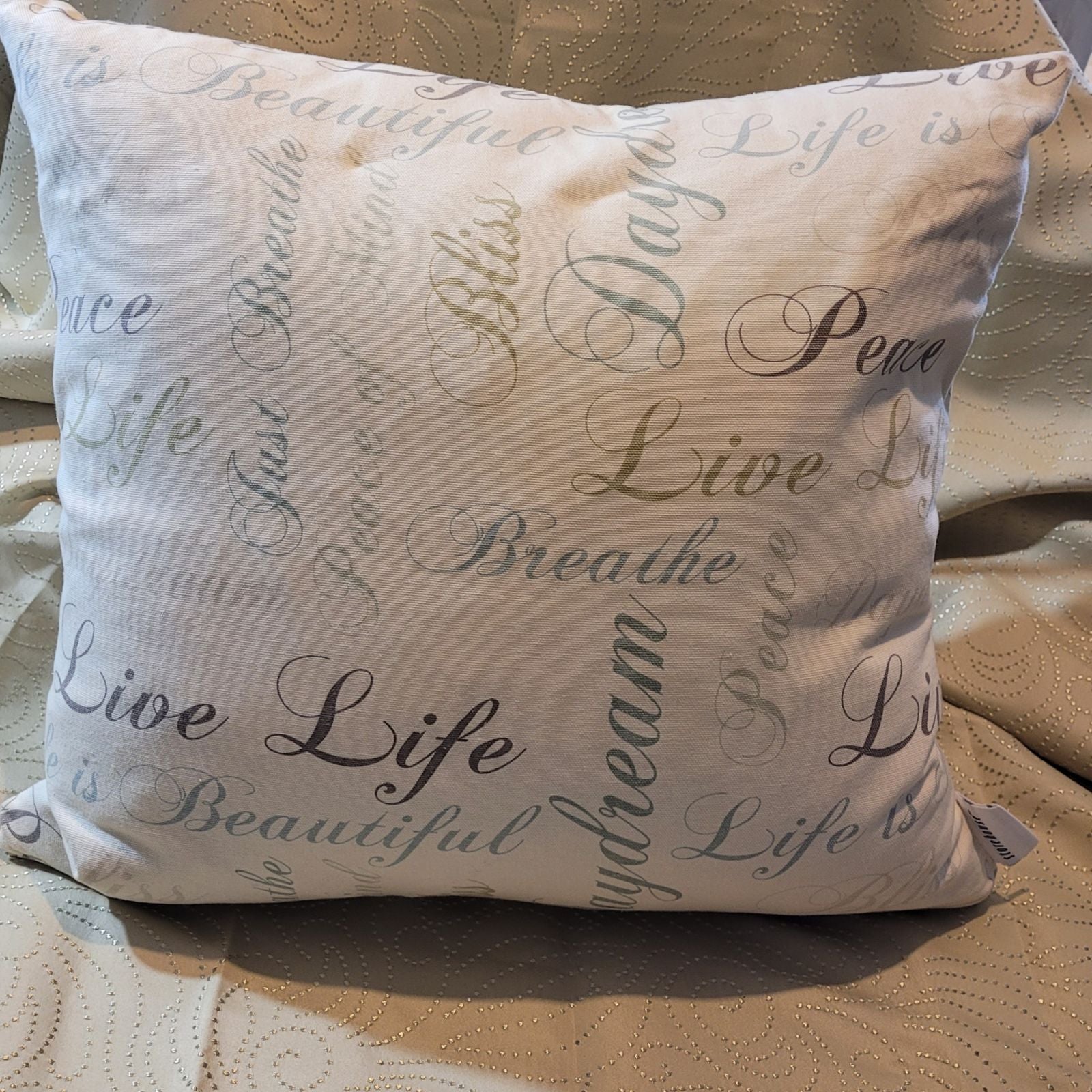 Storehouse top throw pillows