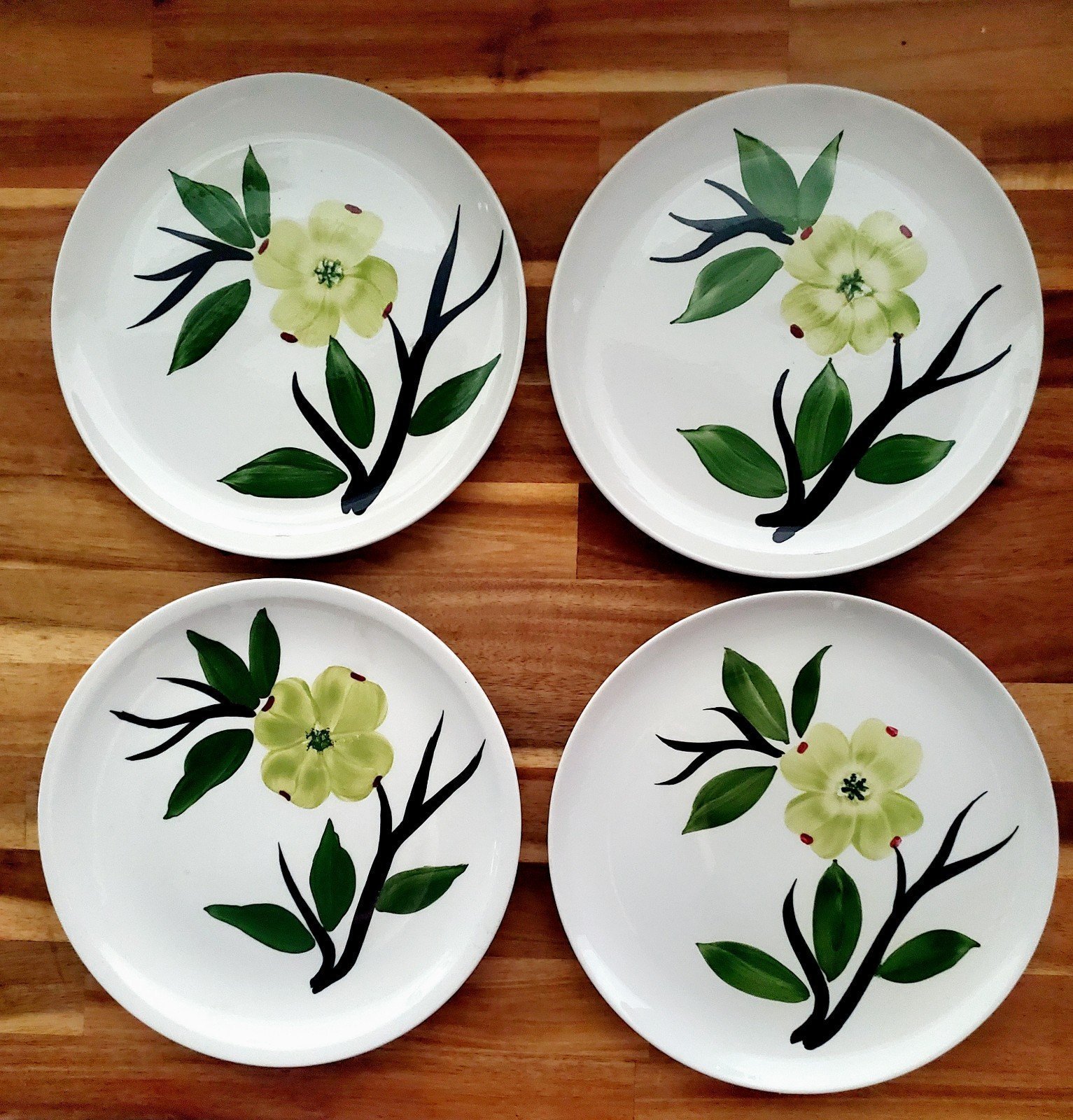 Joni Dixie Dogwoods hand painted Vintage Set Of 4 Blue Ridge 9.5” dinner plates
