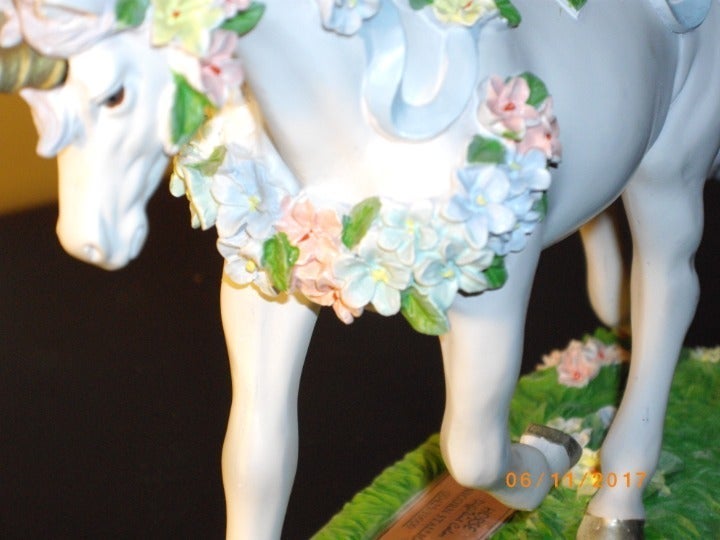 HORSE OF A DIFFERENT COLOR - offers UNICORN STALLION
