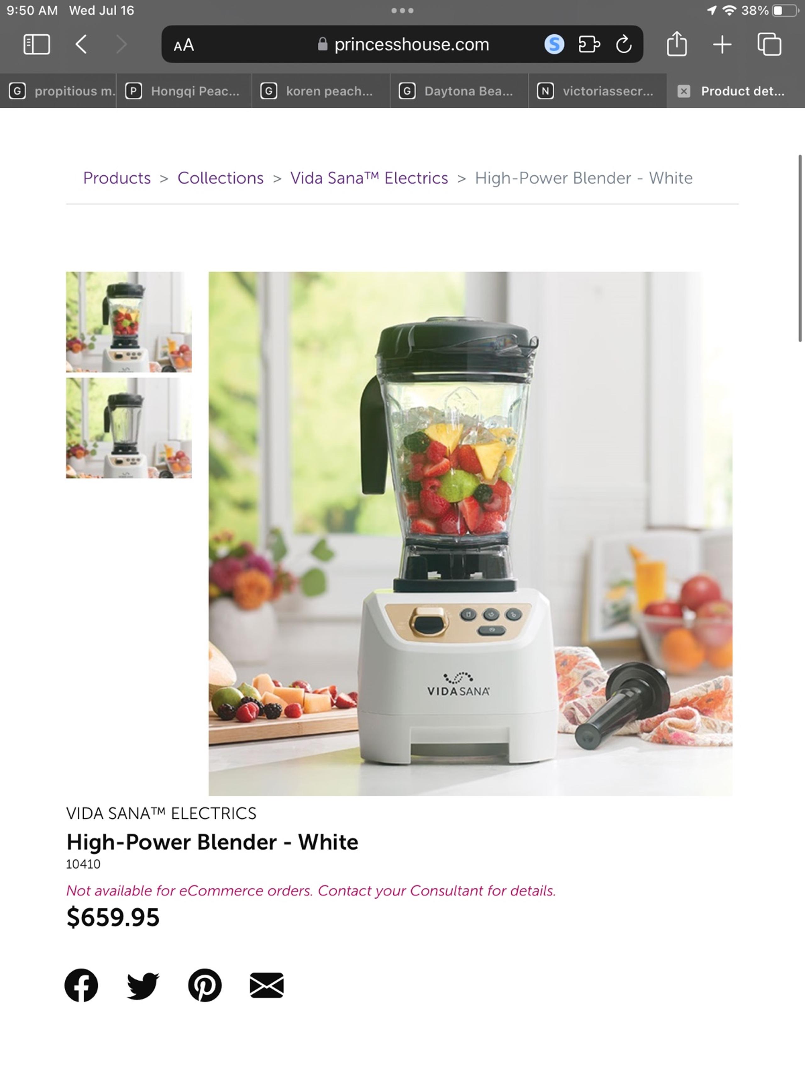 Princess house blender