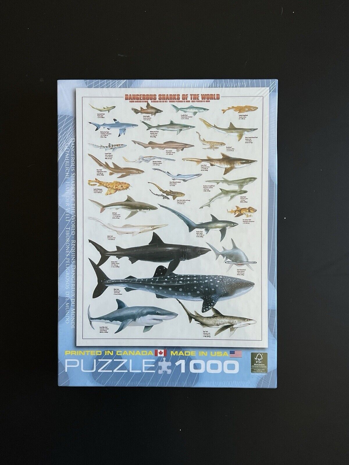 EuroGraphics Dangerous Sharks of The World 1000 Piece Puzzle | BRAND NEW