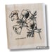 Lot of 12 Floral, Bird, Nature And Misc Patterns Wooden Rubber Stamps, Crafting