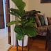 Adjustable Plant Stand, Bamboo Mid Century Modern Indoor Plants Stands
