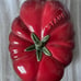 Staub Ceramic Tomato Cocotte