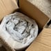 Dog bed 29.5 x 18.9 , Grey