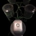 4-Plant RDWC hydroponic system W 5-Gallon Main Control Reservior &600Gph airpump