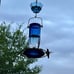 Kingsyard Glass Hummingbird Feeder for Outdoors Wild Bird Feeder with 6 Feeding