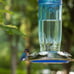 Kingsyard Glass Hummingbird Feeder for Outdoors Wild Bird Feeder with 6 Feeding