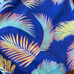 Chubbies Retro Palms Size Large NWT Lined 5.5” Inseam Brand new with tags!