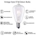 New Set of 12 Edison Classic Bulbs,60w Vintage Antique Incandescent Dimmable Bul