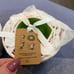 NWT Rae Dunn x Peanuts Thanksgiving & Christmas Measuring Cup Sets *added photos