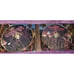 CANNIBAL CORPSE cd/dvd EVISCERATION PLAGUE