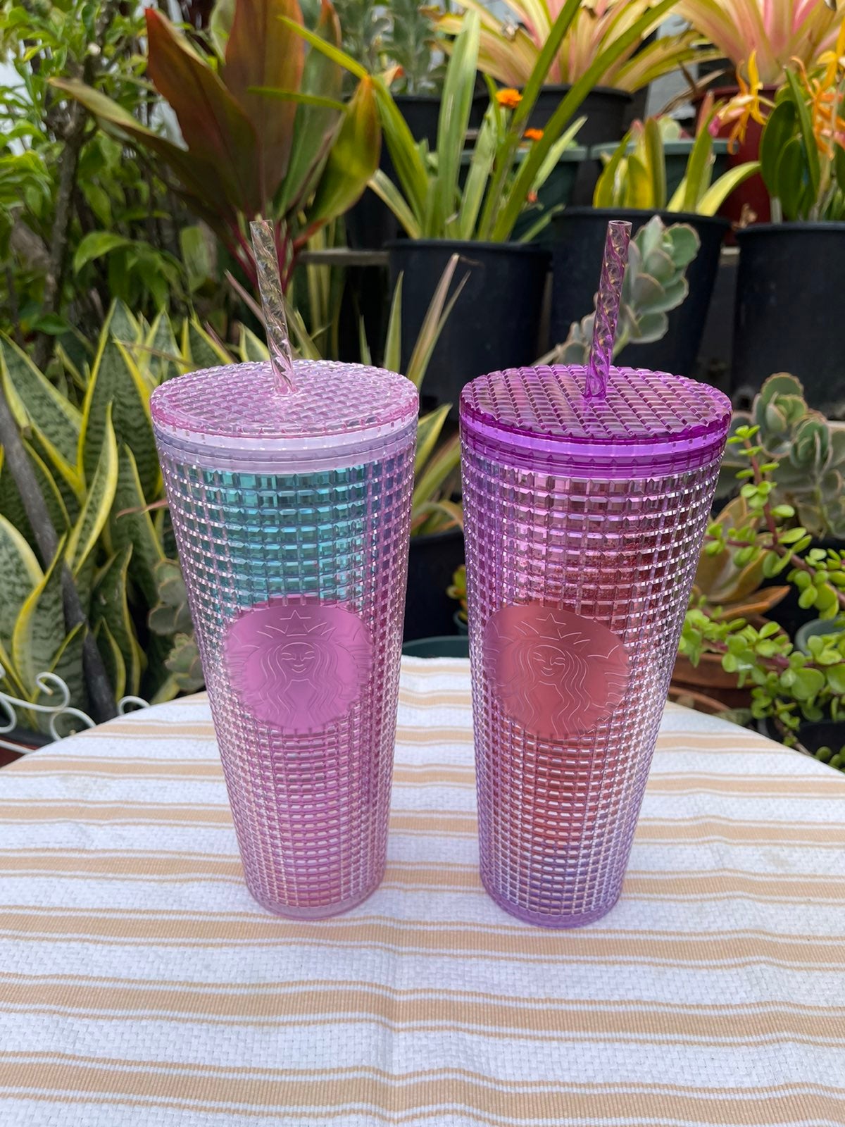 Starbucks Summer Grid Tumbler Set
