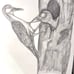 Art drawing pencils hand made