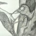 Art drawing pencils hand made
