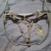 Honey Birdette Skylah Thong NWT Retail 70