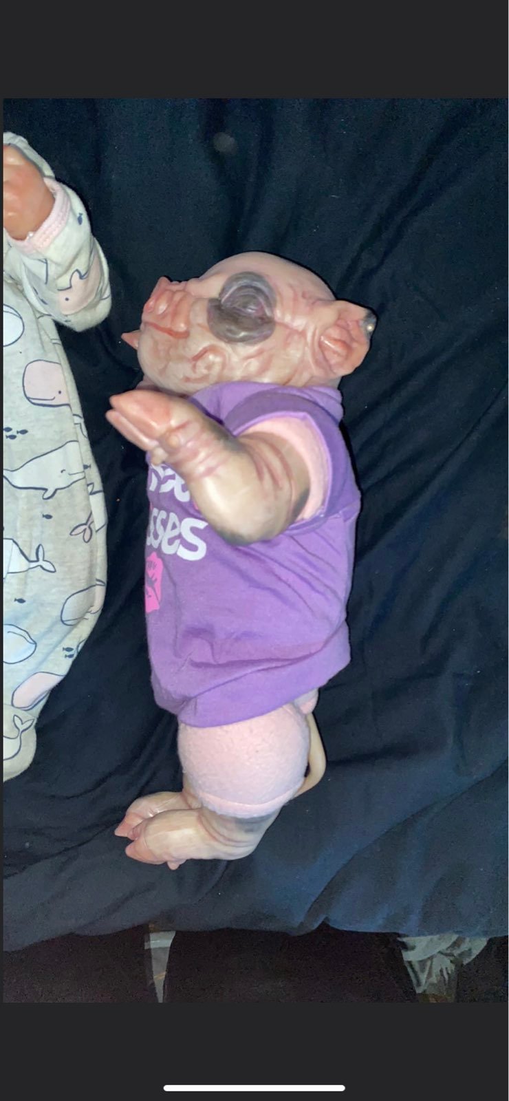Reborn pig
