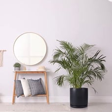 10” black cylinder planter flower pot