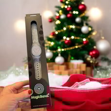 Disney Parks Silver Sparkle Magic Band Plus