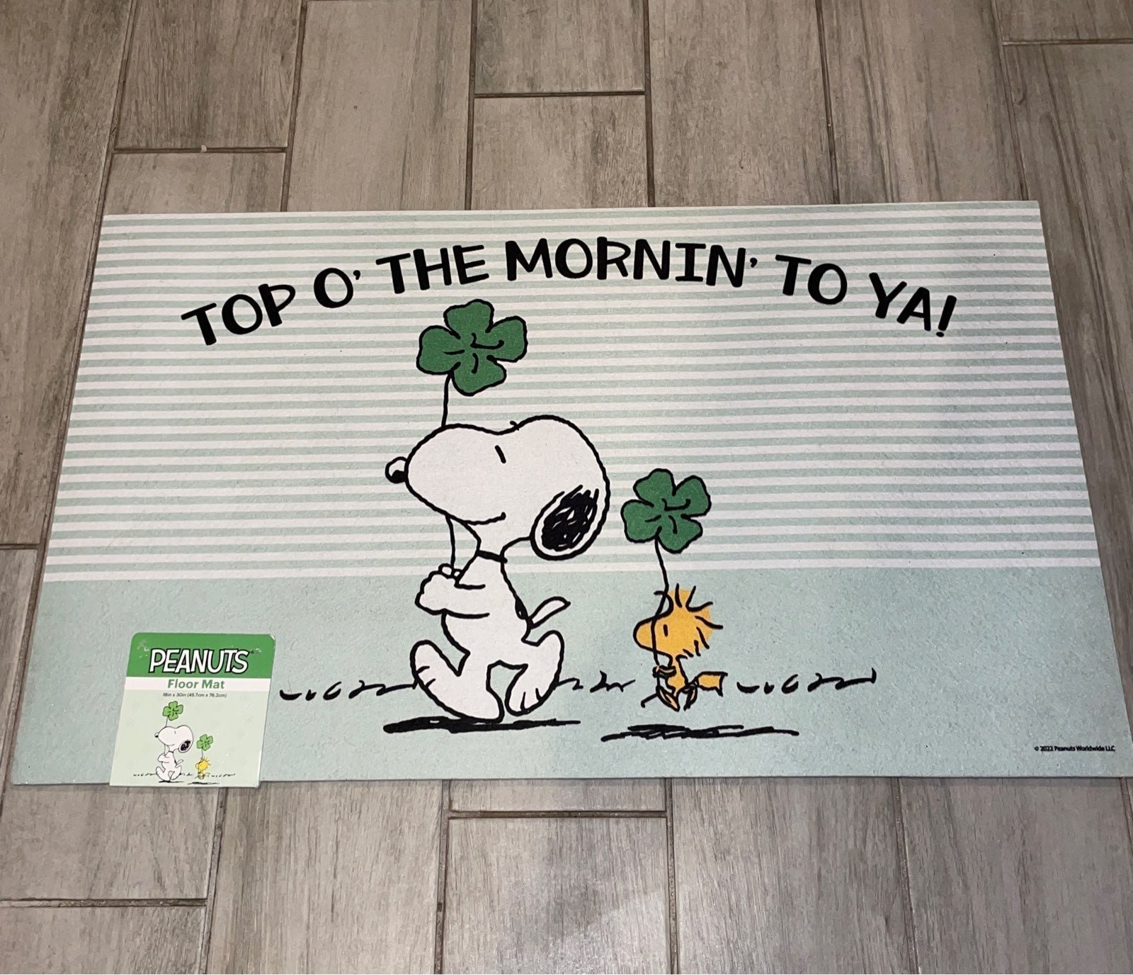 Peanuts Snoopy St Patricks Door Mat